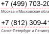 Единый полис ОМС нового образца: где получить, замена и другие вопросы
